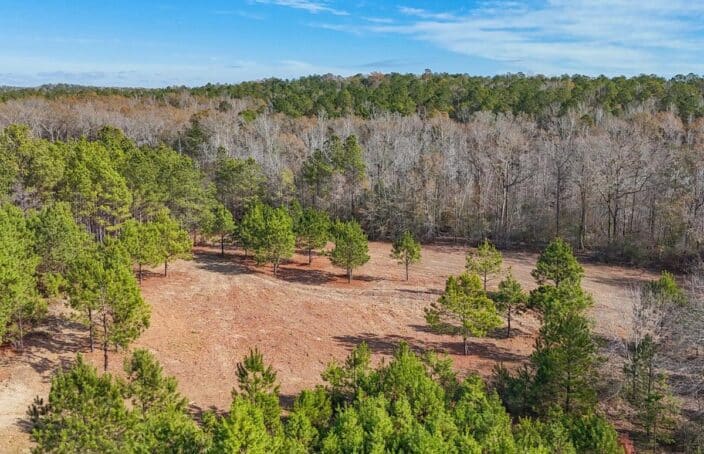 Hunting, Recreational, and Legacy Property in Alabama