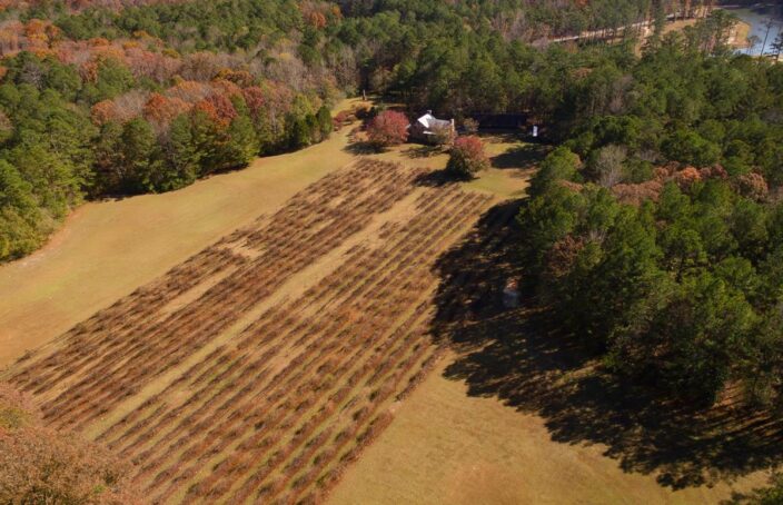 Iconic Vineyard Farm with Log Home