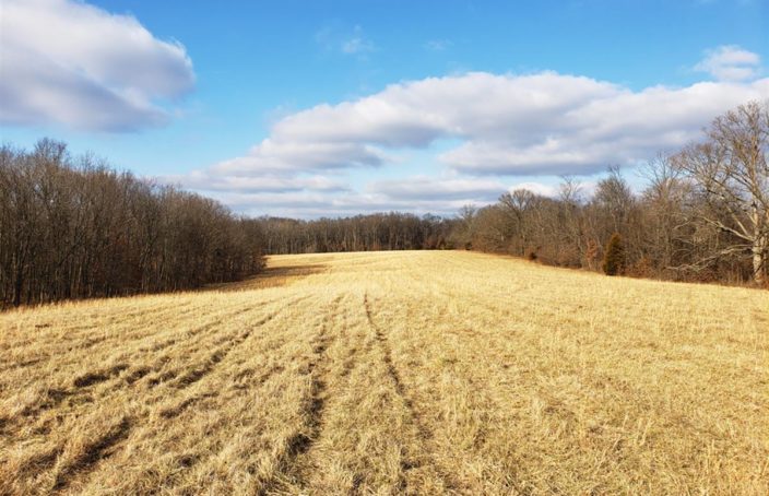 Well-balanced Illinois Hunting Property with Income