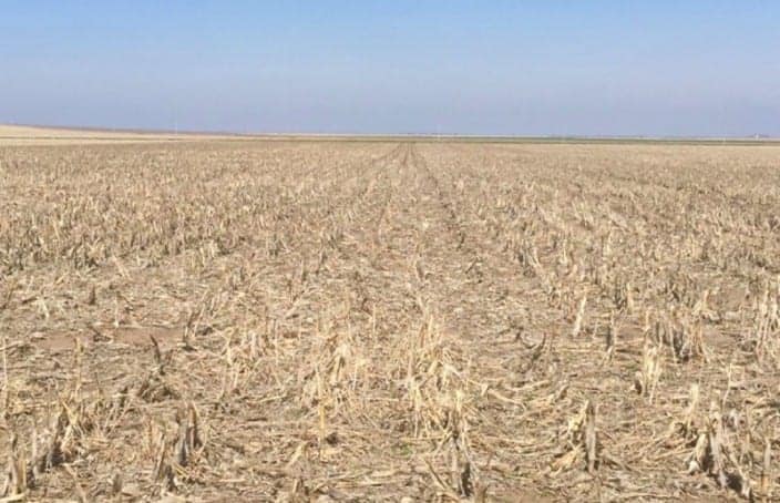 Irrigated Cropland Auction in Kansas