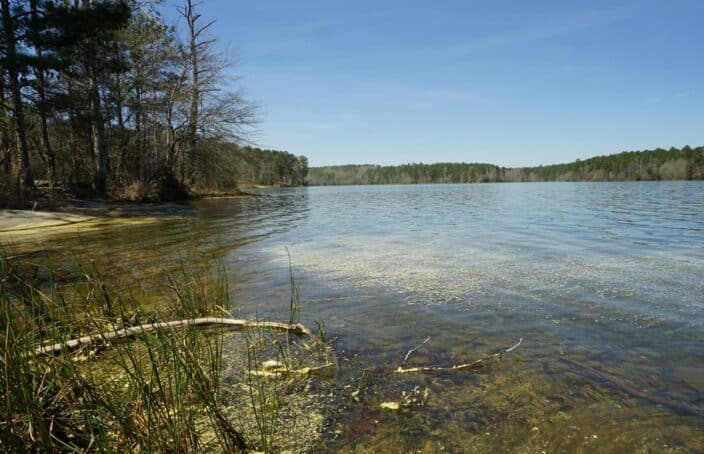 Large Acreage Hunting Offers Opportunity for Outdoor Enthusiasts