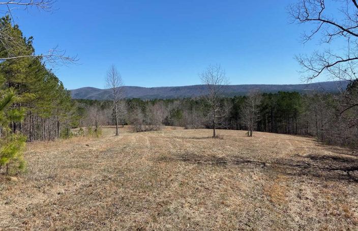 Large Acre Tract in Alabama Borders National Forest