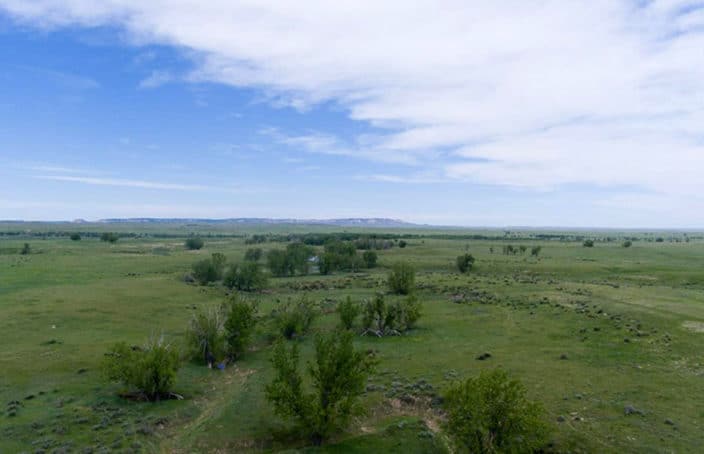 Low-overhead Wyoming Grass Ranch with Extensive Variety of Wildlife
