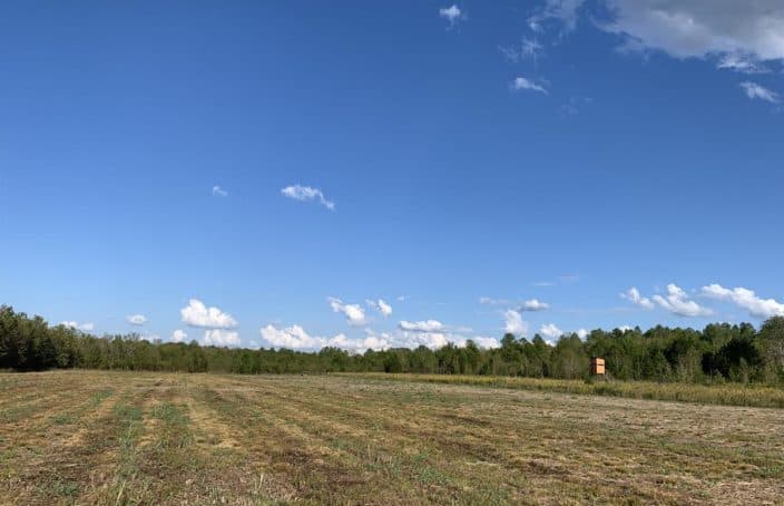 Intensely Managed Free-Range Hunting Tract in Alabama's Black Belt