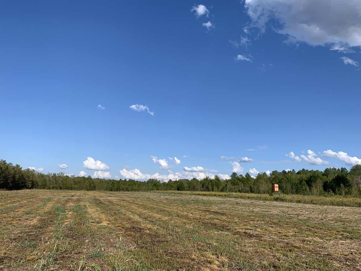 Intensely Managed FreeRange Hunting Tract in Alabama's Black Belt