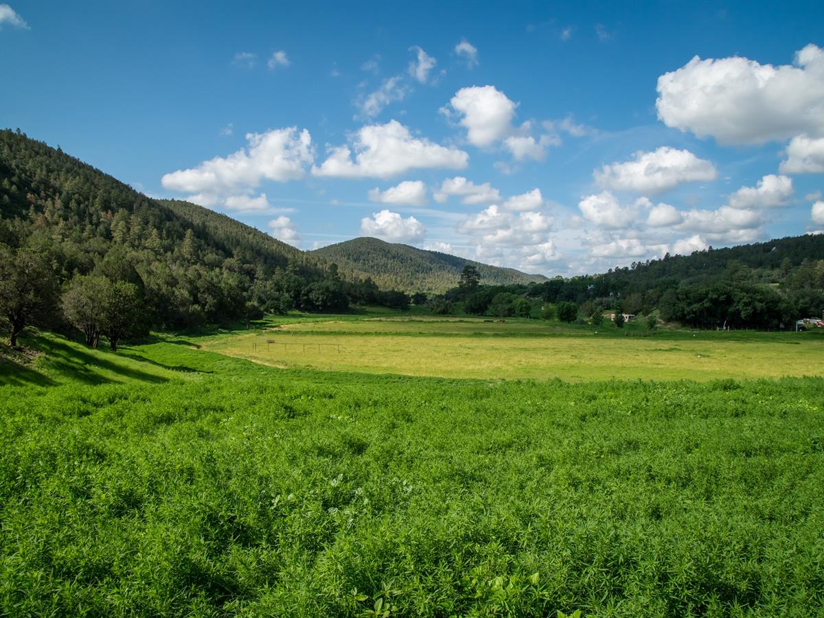 Mayhill Homestead Ranch on the Rio Penasco River LANDFLIP BLOG