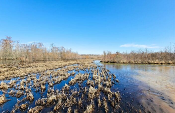 Meticulously Managed Tennessee Hunting Tract