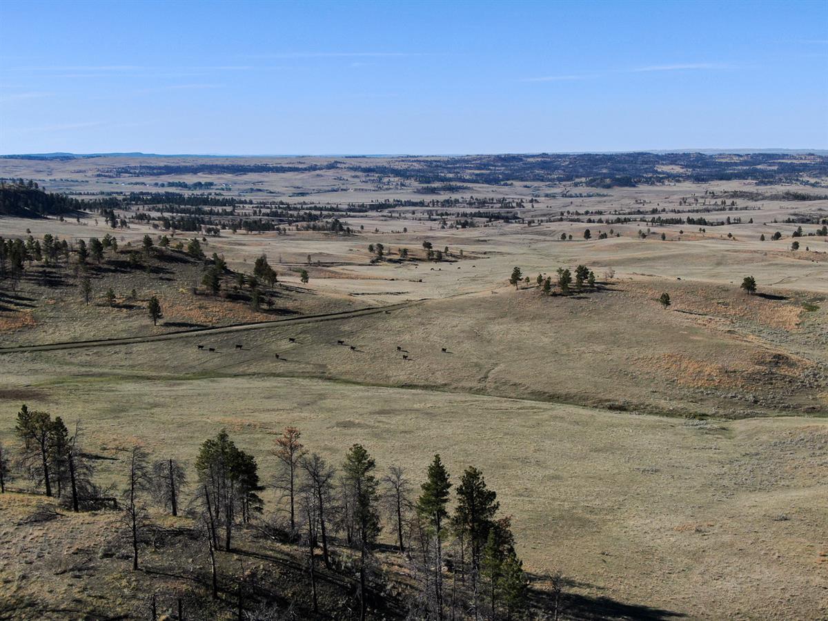Multi-Generational Legacy Ranch in Montana - LANDFLIP BLOG
