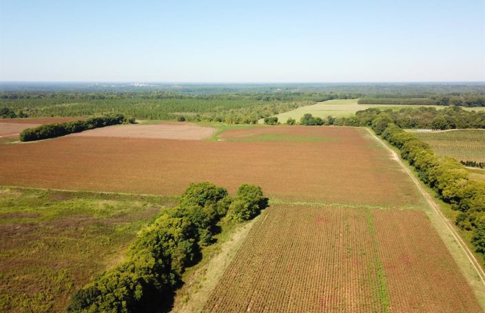 Multi-Use Alabama Farmland and Large Rural Homesite