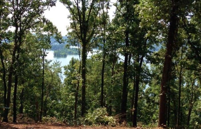 New Lakeview Acreage Released in Tennessee