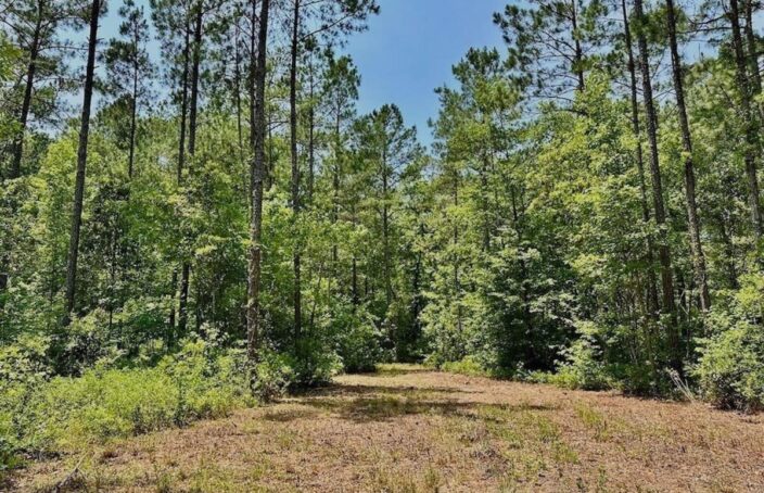 North Carolina Property Offers Everything Needed to Enjoy the Outdoors