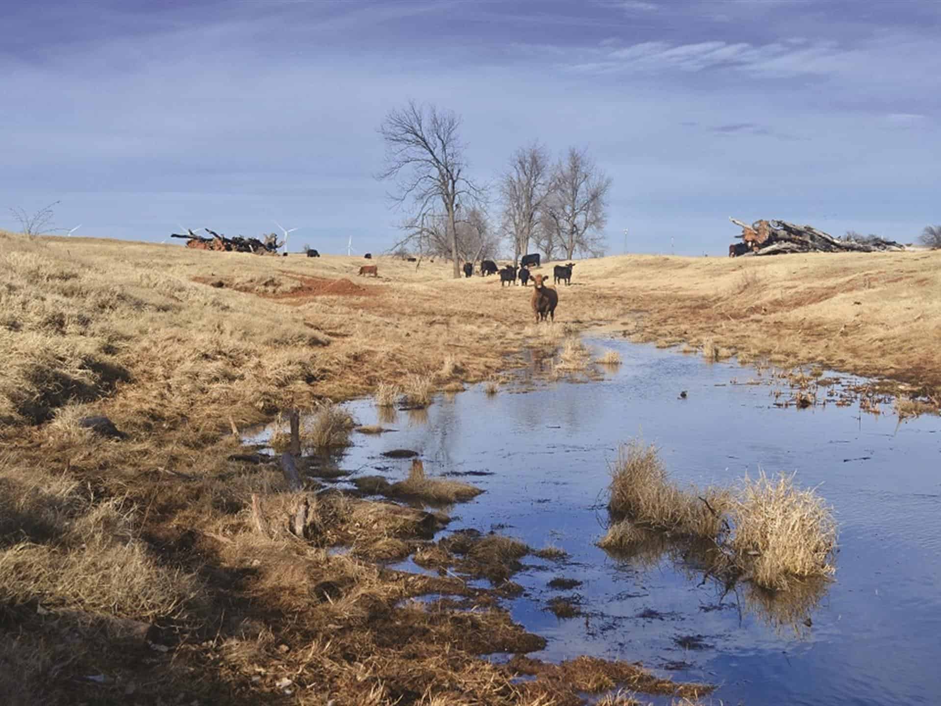 Oklahoma Ranch With Versatile Potential Landflip Blog