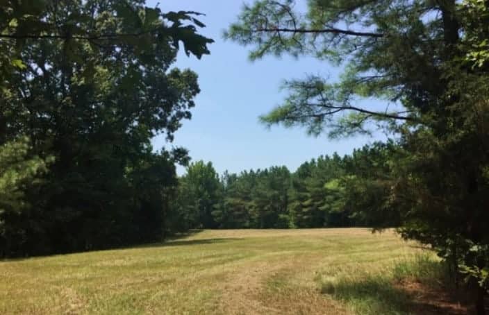 Online Only Auction: 200 Acres Prime Hunting in Mississippi