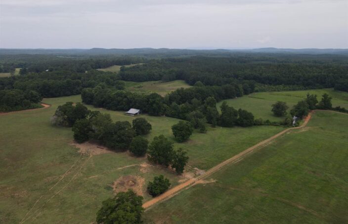 Operating Purebred Seedstock Cattle Ranch in Alabama