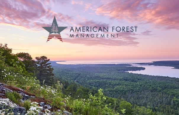 Partner Spotlight: American Forest Management