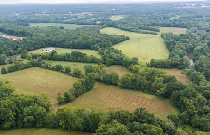 Usable Pasture or Row Crop Property with Creek Frontage