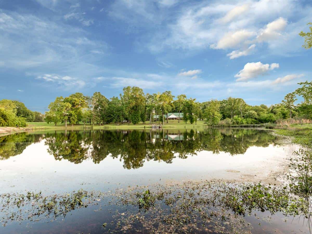 Find Your Perfect Farm The Ultimate Craigslist East Texas Guide - o98e60z