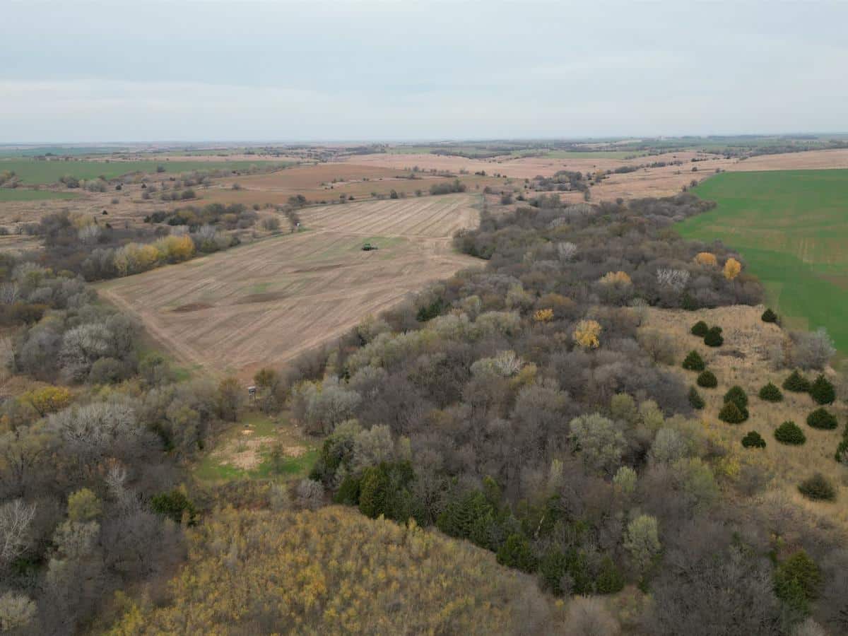 Ponderosa Ranch Balances Agriculture and Recreation with Income ...