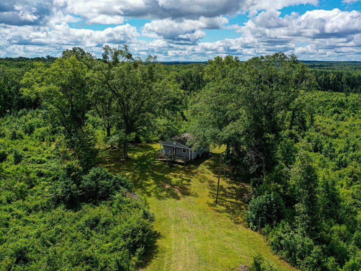 Prime Hunting Property Along the Pearl River LANDFLIP BLOG