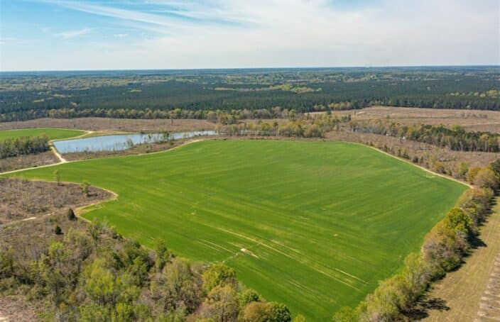 Private and Secluded Georgia Agriculture Farm