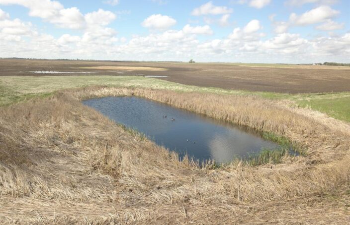 Productive Farmland with Recreational Value