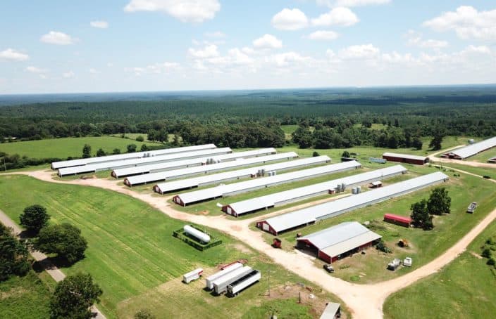 Profitable 11-House Poultry Farm on 71 Acres