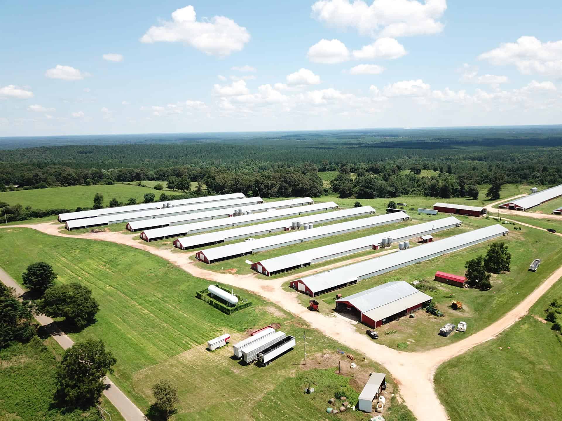 Profitable 11House Poultry Farm on 71 Acres LANDFLIP BLOG
