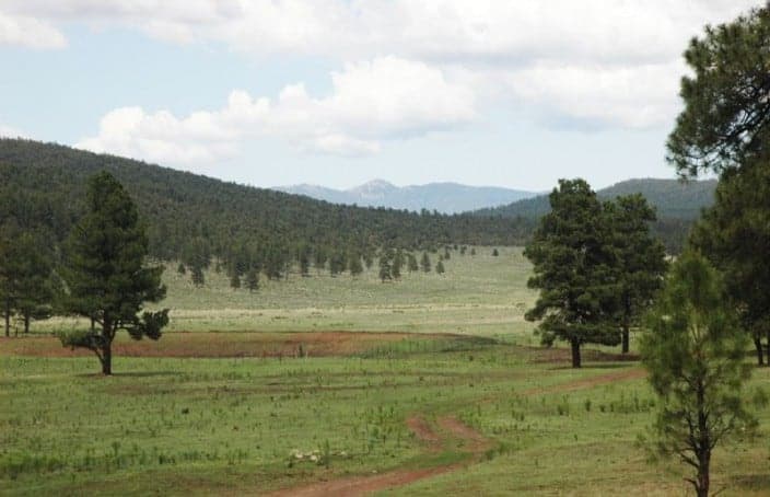 Featured Land: Rainy Mesa Ranch- Private Big Game Hunting in New Mexico