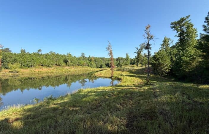 Recreational Retreat in Alabama's Lake Country