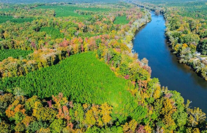 Recreational & Timber Property with Cape Fear River Frontage