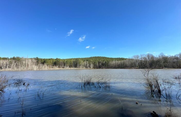 Recreational and Timberland Property with Large Private Lake