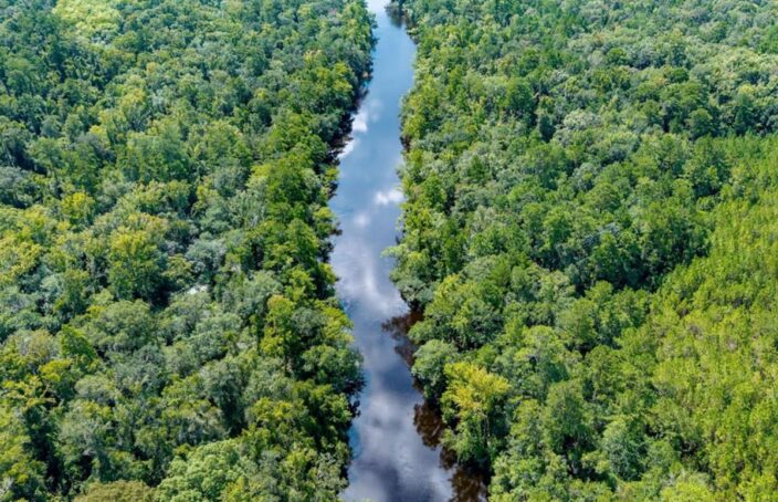 River and Creek Recreational Timberland in Panhandle