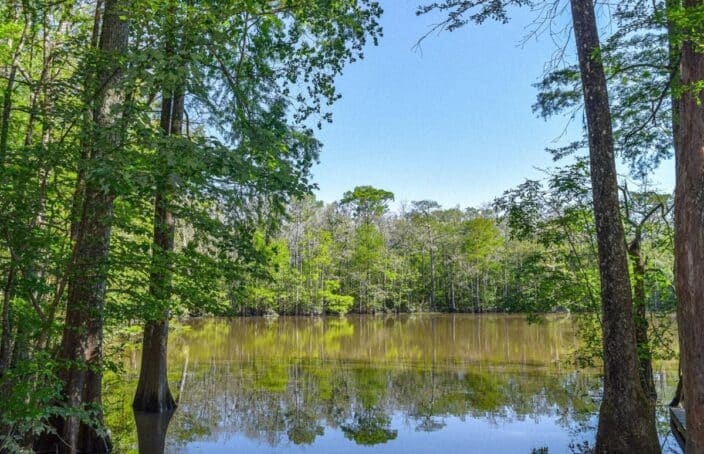 Your Riverfront Dream Starts Here