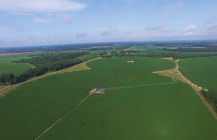 Sealed Bid Auction: Nancemede Farms in Georgia