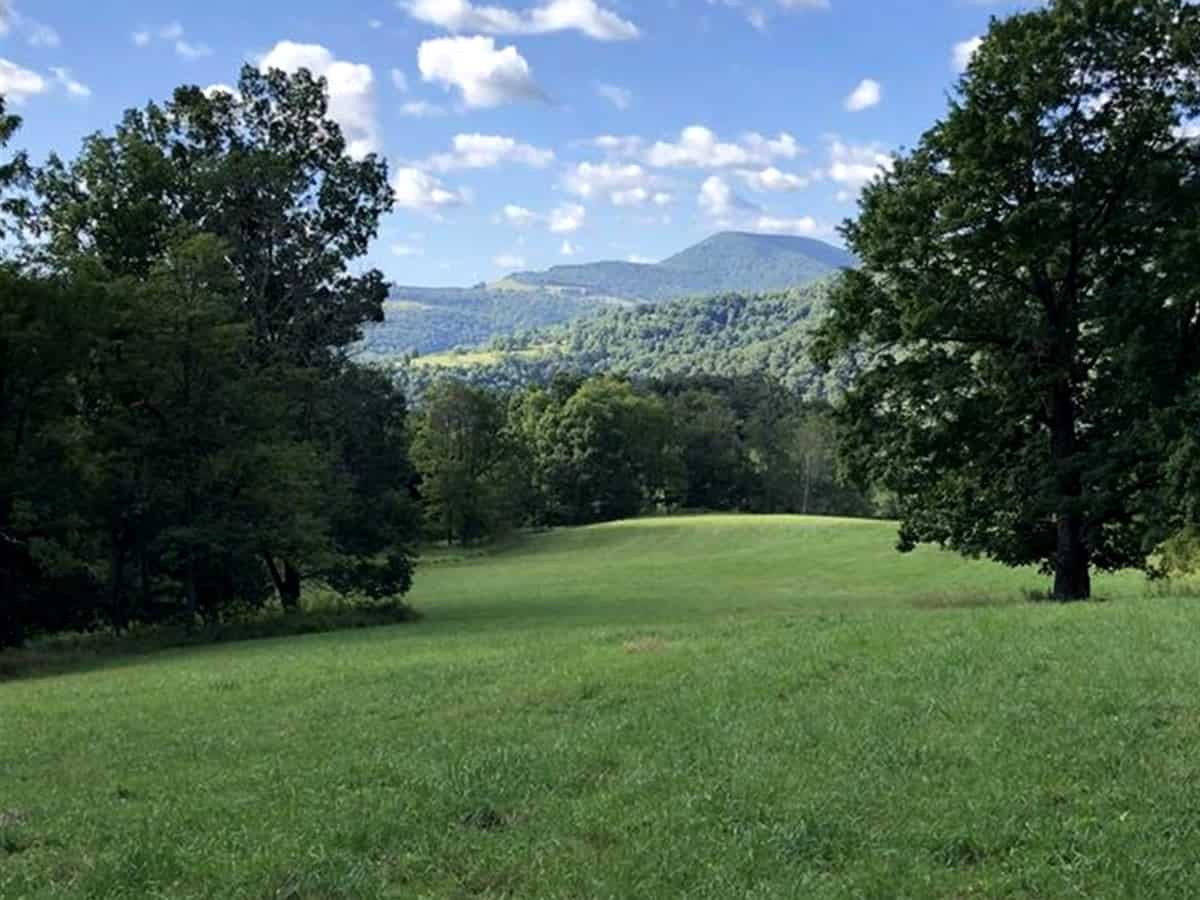 Sealed Bid Auction Tygart Valley Timberlands in West Virginia