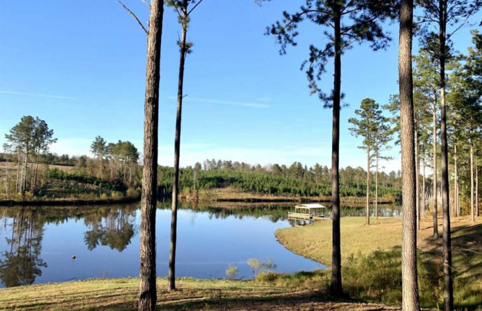 Secluded Alabama Hunting Property with Barndominium