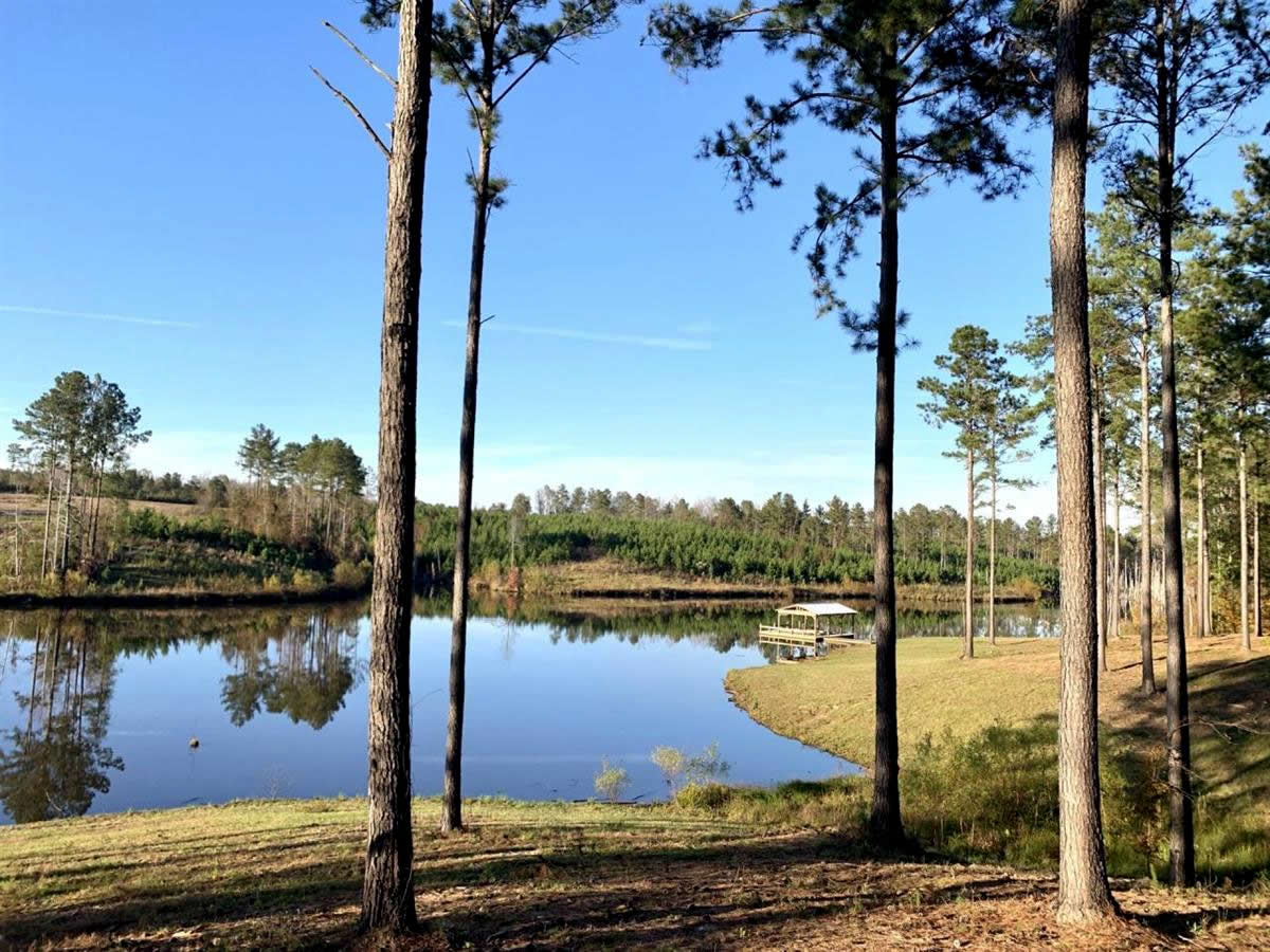 Secluded Alabama Hunting Property with Barndominium LANDFLIP BLOG