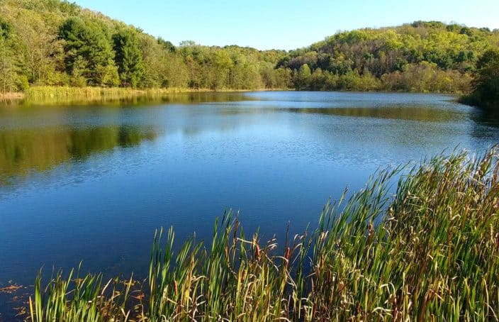 Showcase Auction: Diverse, 1,050 +/- Acre Timberland & Recreational Tract