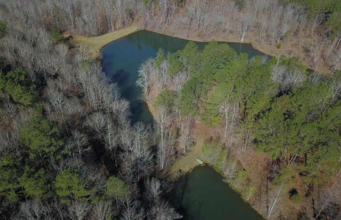 Small Hunting and Timber Tract with 3 Ponds