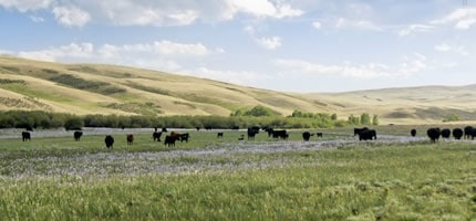 28,811 Acre Snowy Range Ranch in Wyoming