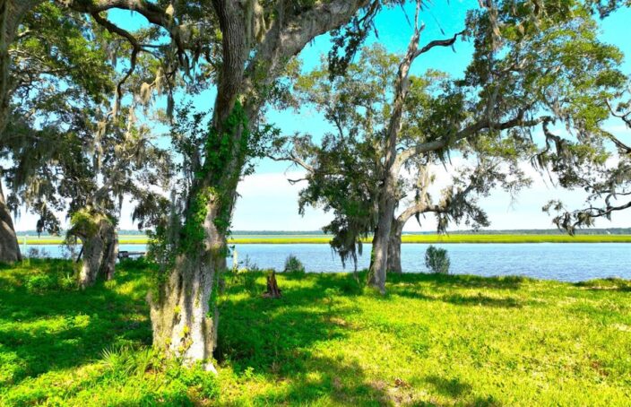 South Georgia Deepwater Property with Live Oaks