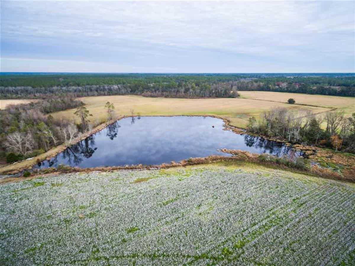 South Farm Offers Multiple Streams of LANDFLIP BLOG