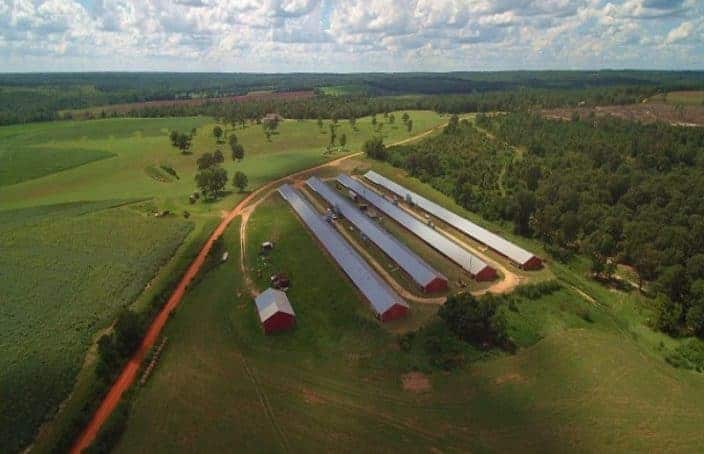 The Morgan Farm in Marion County, Georgia