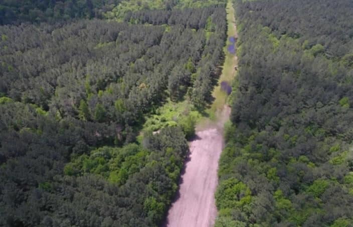 Timber Investment Doubles as a Fine Recreational Tract