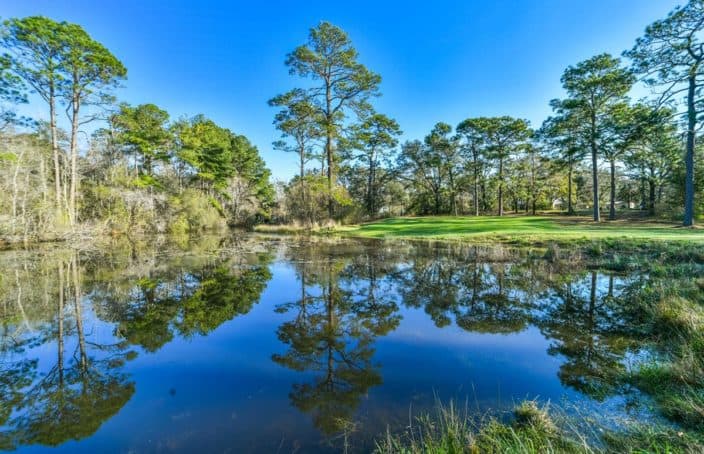Turn-Key Operating Golf Course in Florida