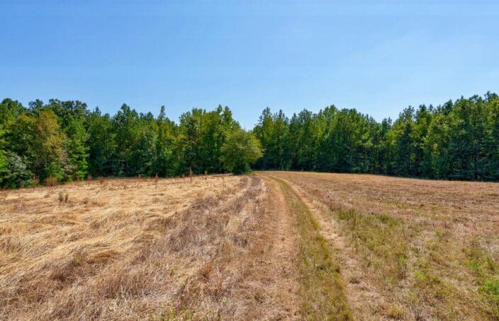 Turnkey Georgia Hunting Land with Creeks, Food Plots