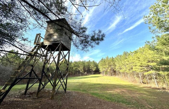 Turnkey Hunting and Timberland Property in Alabama