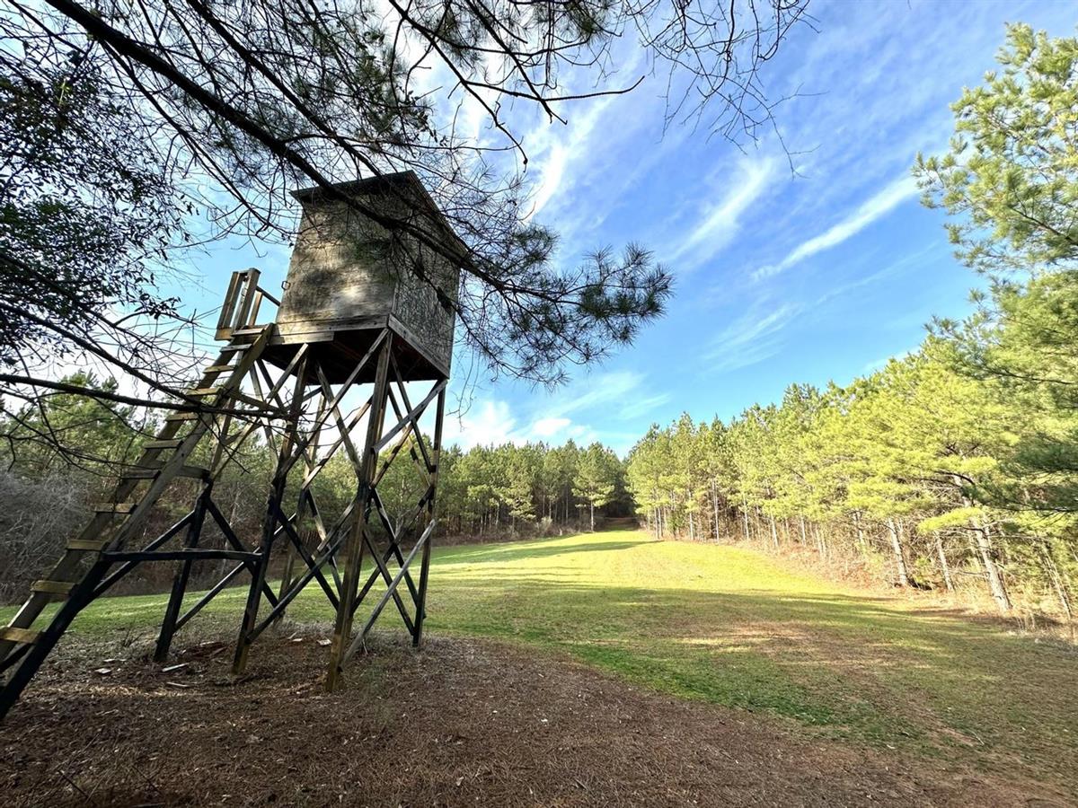 Turnkey Hunting and Timberland Property in Alabama LANDFLIP BLOG