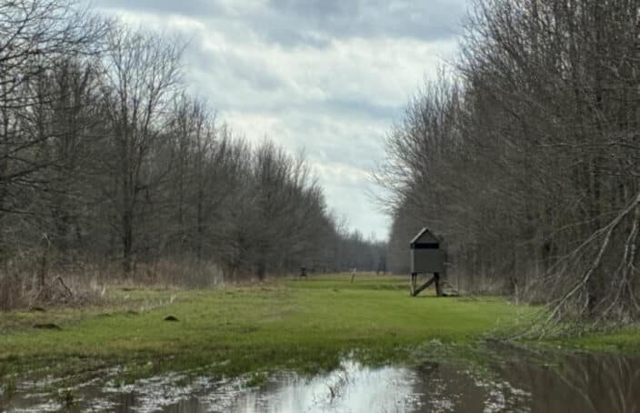 Turnkey WRP Recreational & Hunting Tract in Louisiana