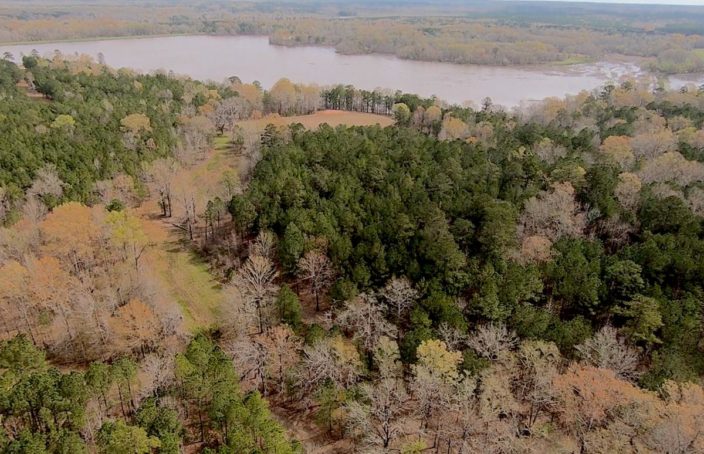 Vann Tract : Superb Hunting Destination in East Alabama